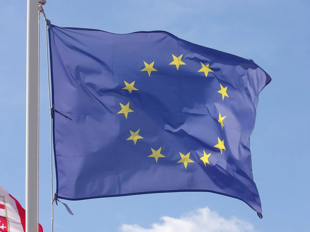 Companie Europeana in Romania